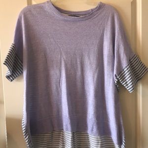 J.Crew Blue and White Sweater Top